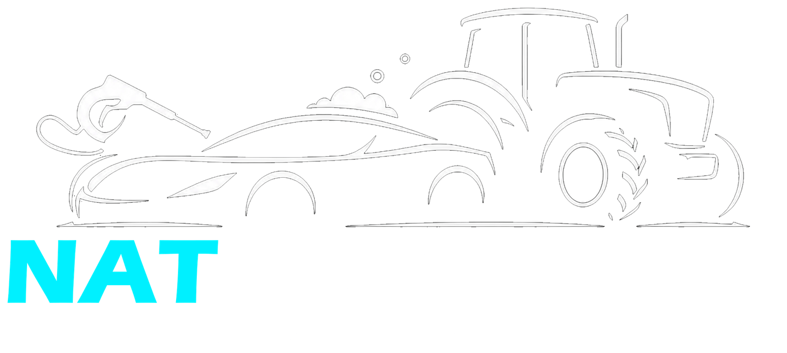 NatDetailing Logo